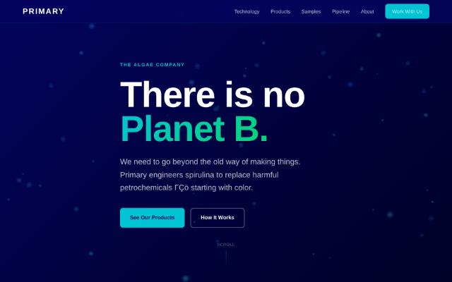 Screenshot of the Primary site